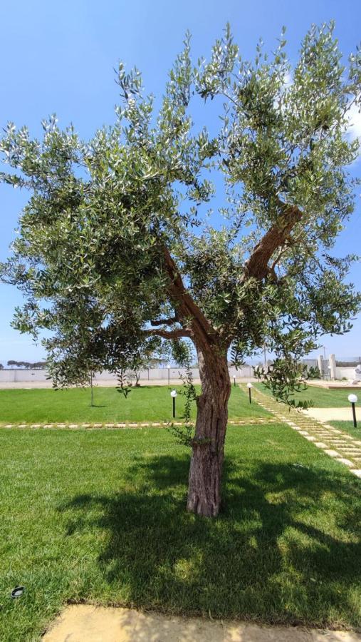 مبيت وإفطار Nardò Armonia Galeta المظهر الخارجي الصورة